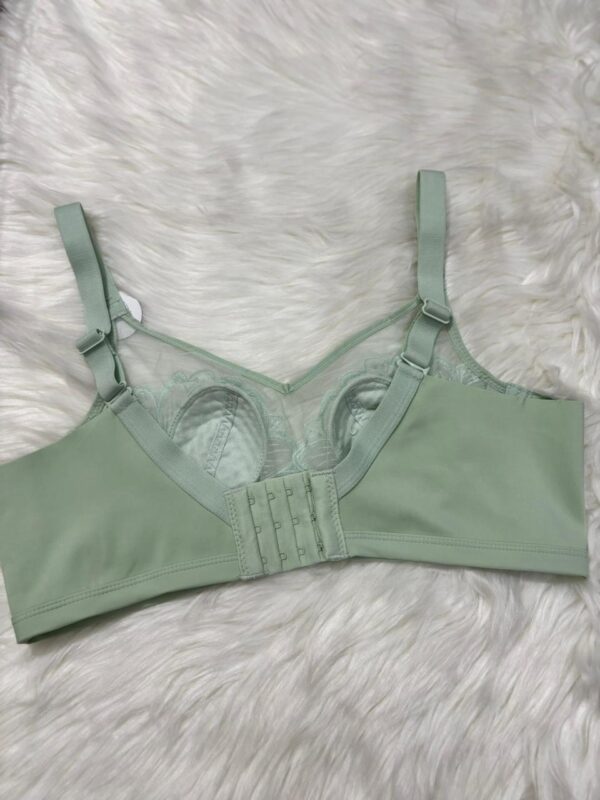 Embroidered Lace BRA - Image 2
